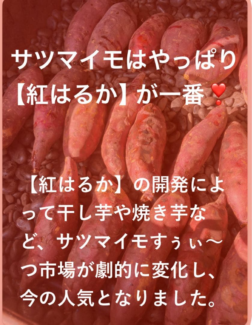 訳あり　丸干し芋 生産農家だからできると〜てもお得‼️ なまとめ売り 11kg