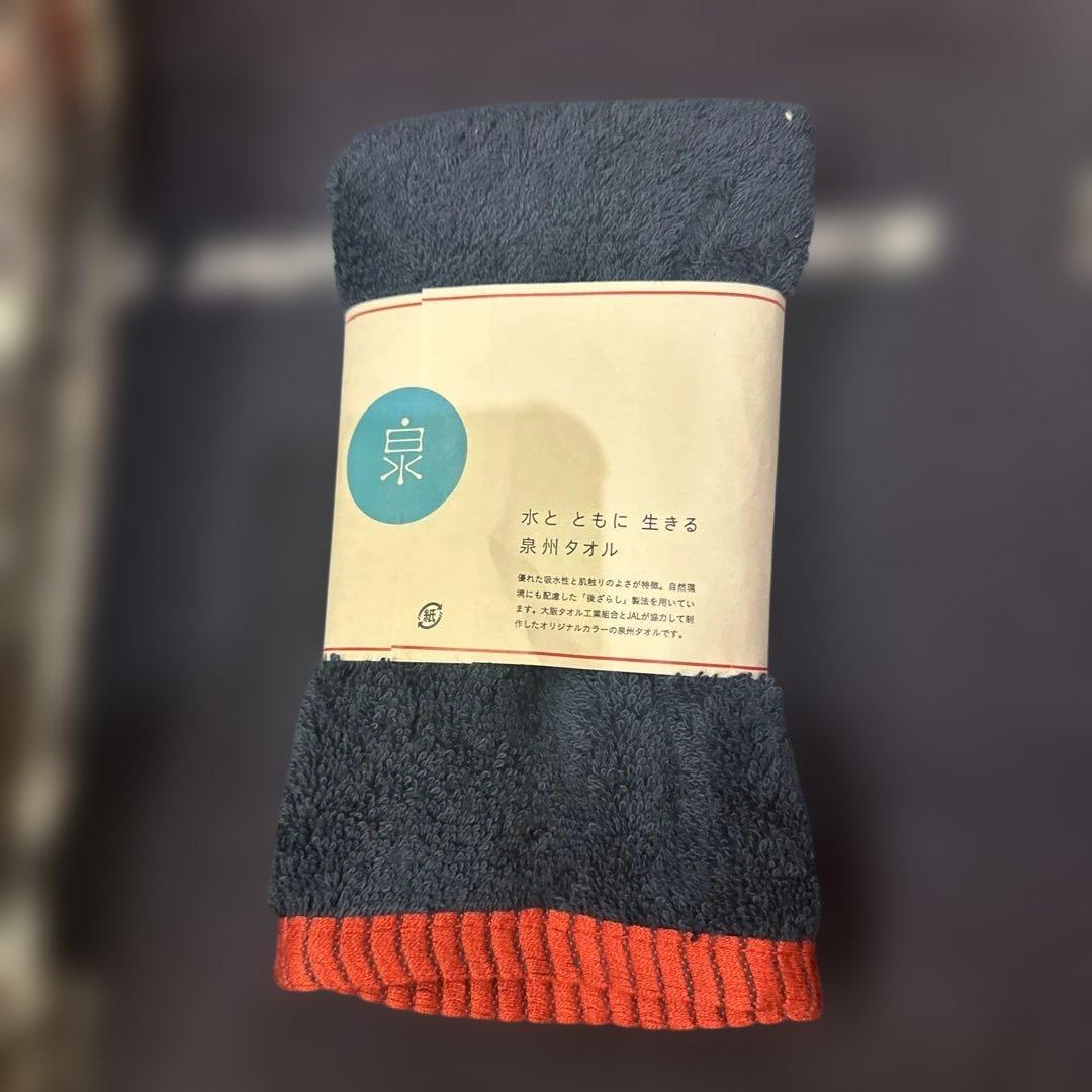 JAL 初日の出フライト 2026 記念品セット