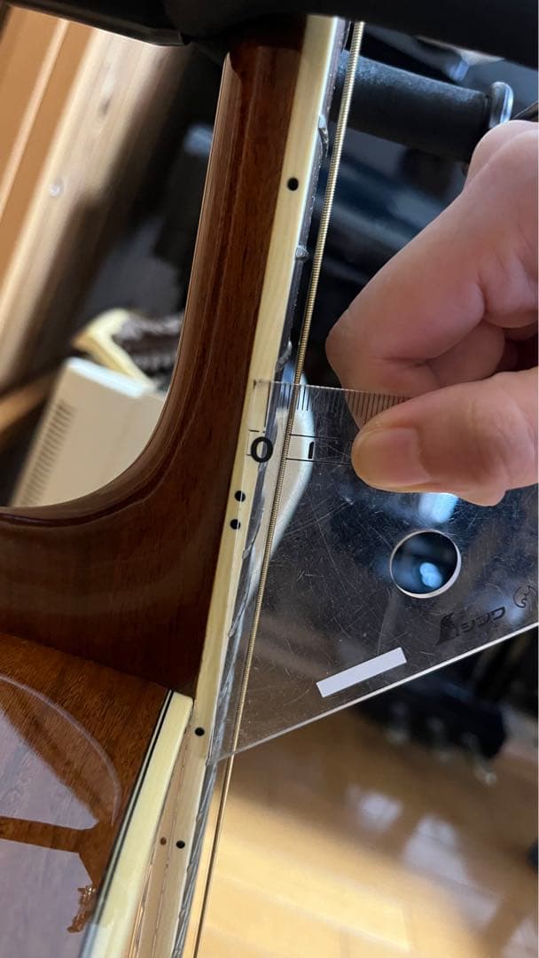 SAJ-1280Z ハカランダ