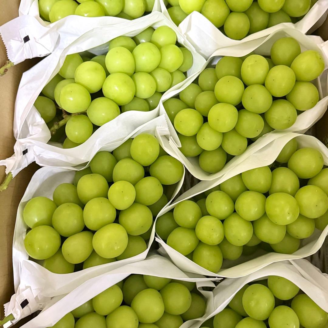 13日月曜日発送！今シーズン最後【山梨県産】シャインマスカット 5kg 産地直送