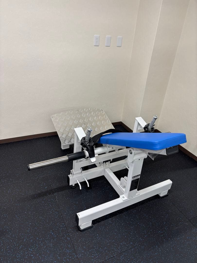 ヒップアップ,美尻に効果覿面 プロ仕様のグルートアップリフトプレス 引取希望愛知