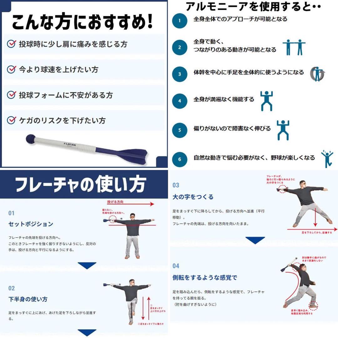 新品 フレーチャ Ip Select FLECHA 投球トレーニングIP9010
