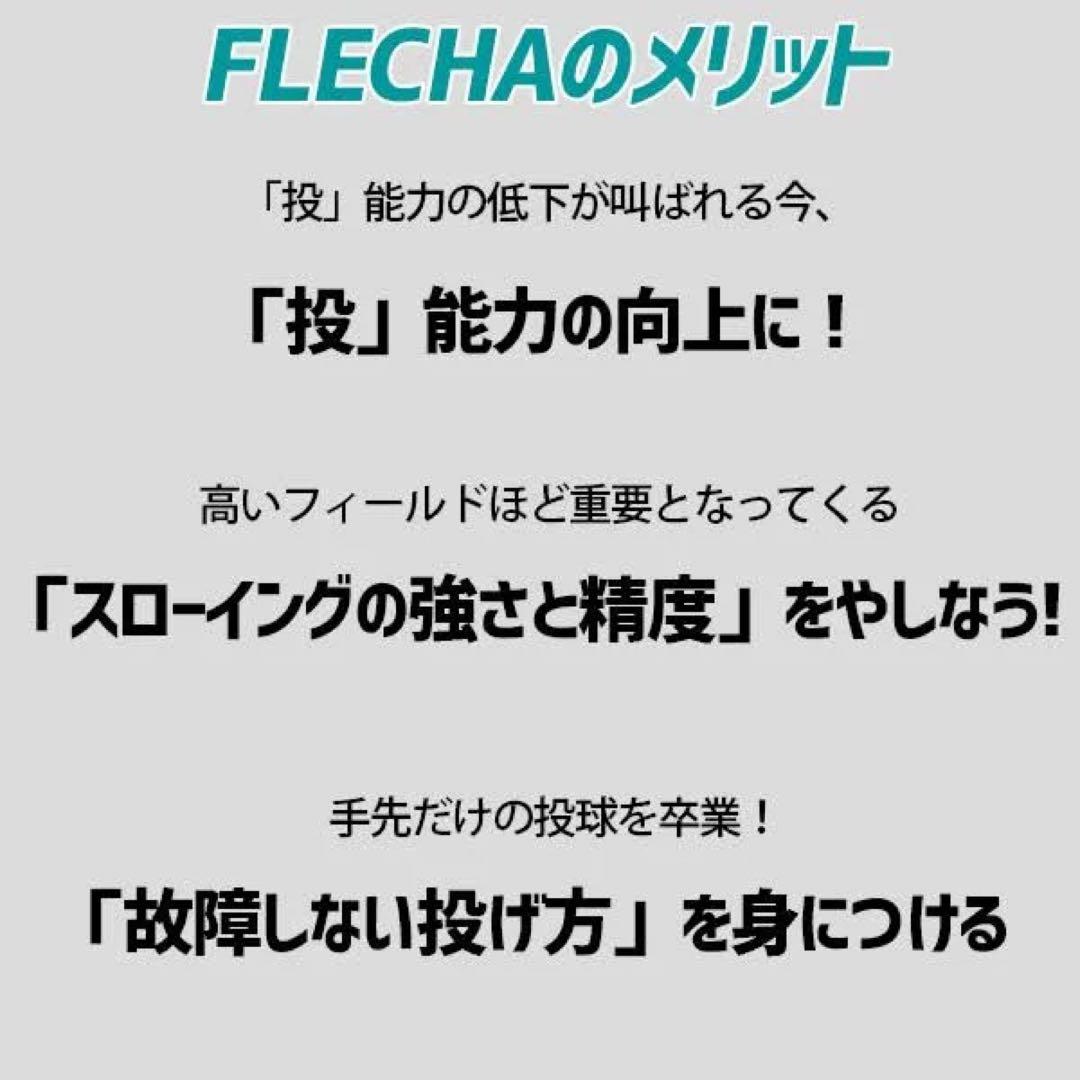 新品 フレーチャ Ip Select FLECHA 投球トレーニングIP9010