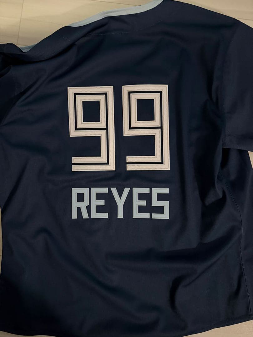 WELOVEHOKKAIDO FIGHTERS限定ユニフォーム 99レイエス