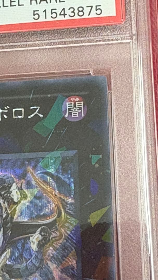 遊戯王 PSA10 ヴェルズウロボロス シークレット シク DT
