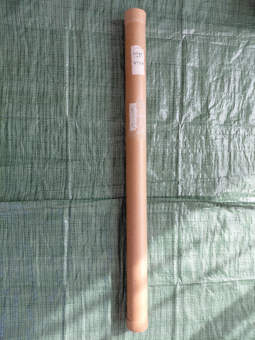 RAVEの限定ポスター(四隅においてあるメジャーと重しは売り物ではありません)