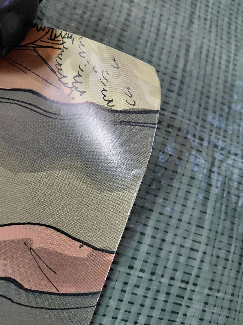 RAVEの限定ポスター(四隅においてあるメジャーと重しは売り物ではありません)