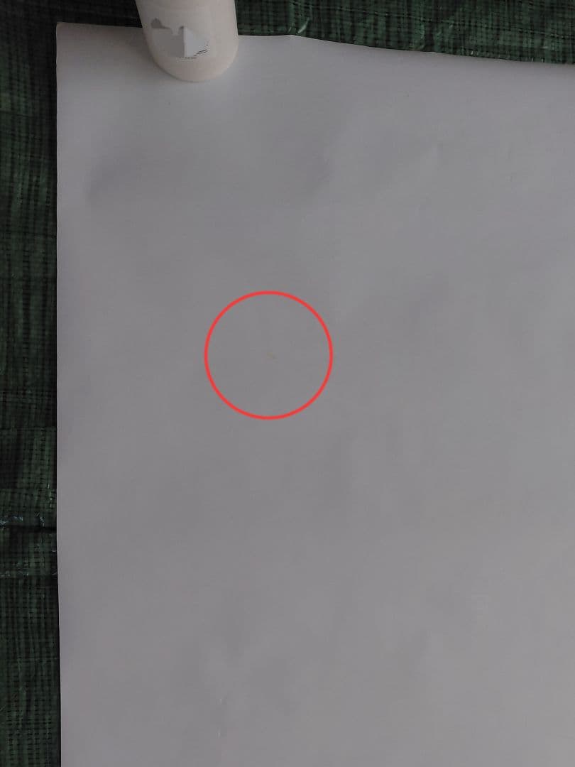 RAVEの限定ポスター(四隅においてあるメジャーと重しは売り物ではありません)