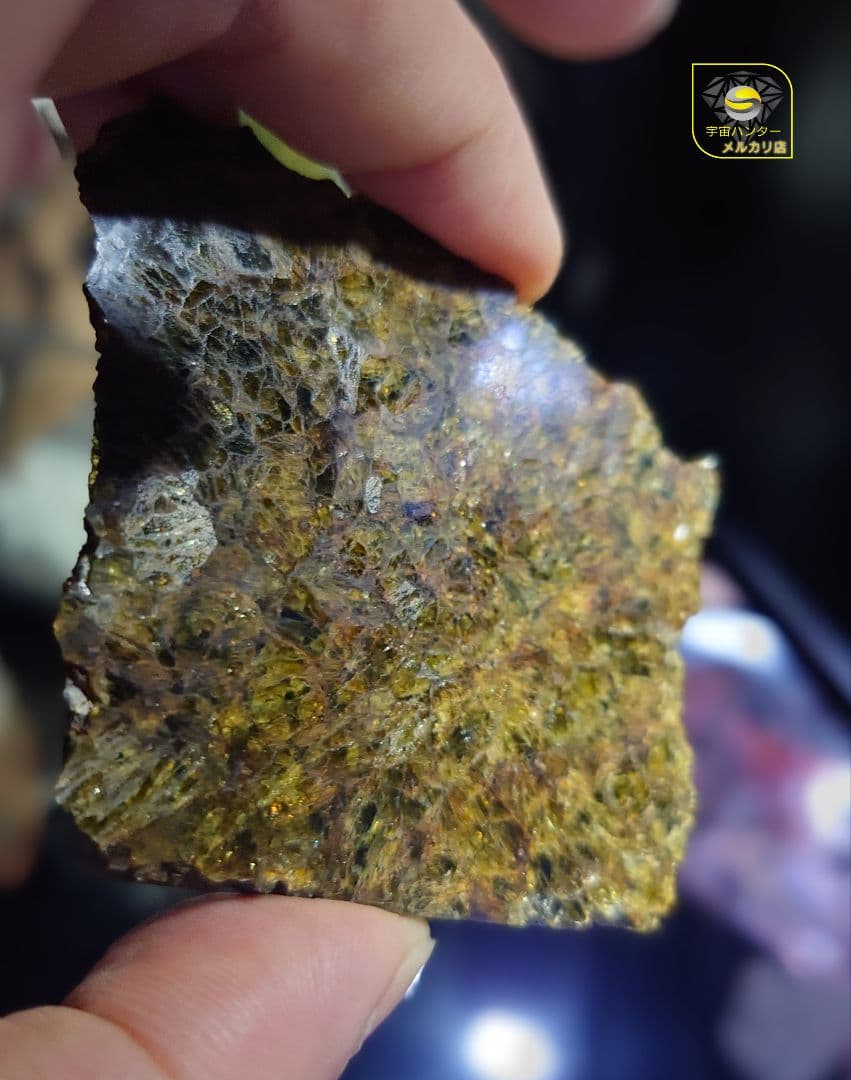 NWA 7831 隕石　ダイオジェナイト 41.1g　小惑星ベスタ ⭐