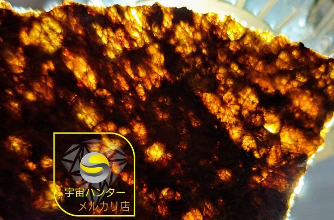 NWA 7831 隕石　ダイオジェナイト 41.1g　小惑星ベスタ ⭐