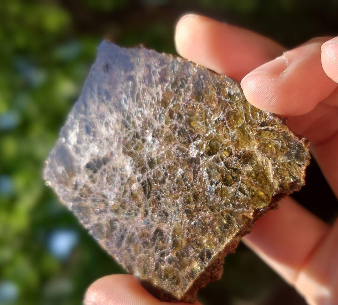 NWA 7831 隕石　ダイオジェナイト 41.1g　小惑星ベスタ ⭐