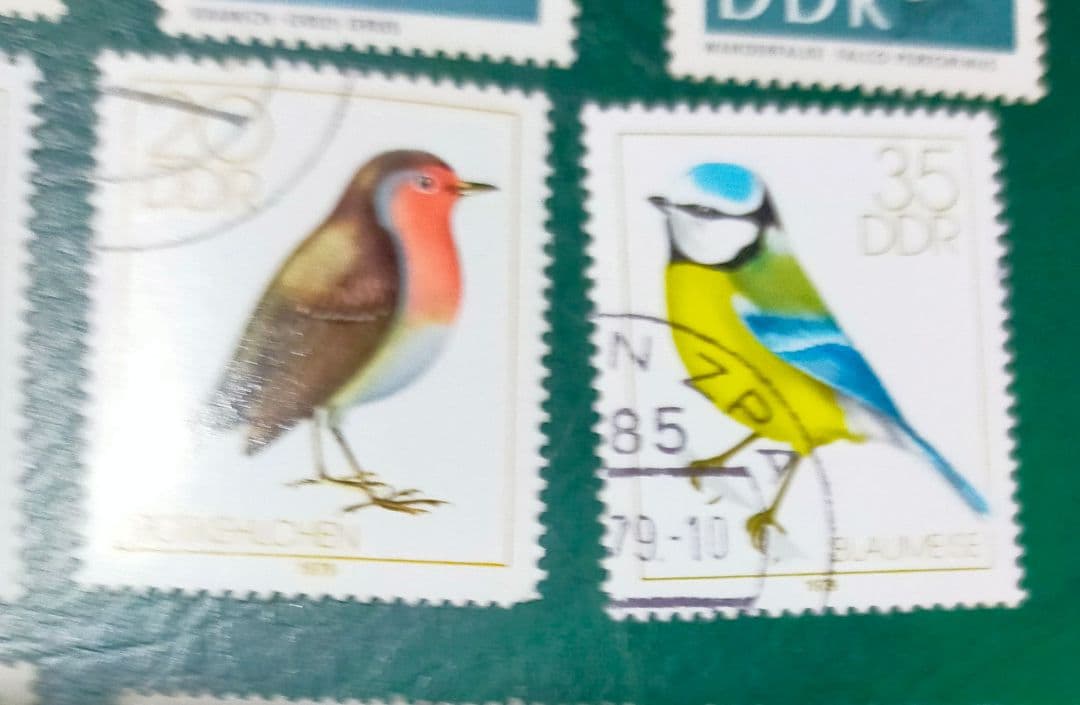 確認用！東ドイツ梟など鳥切手14種DDR貴重