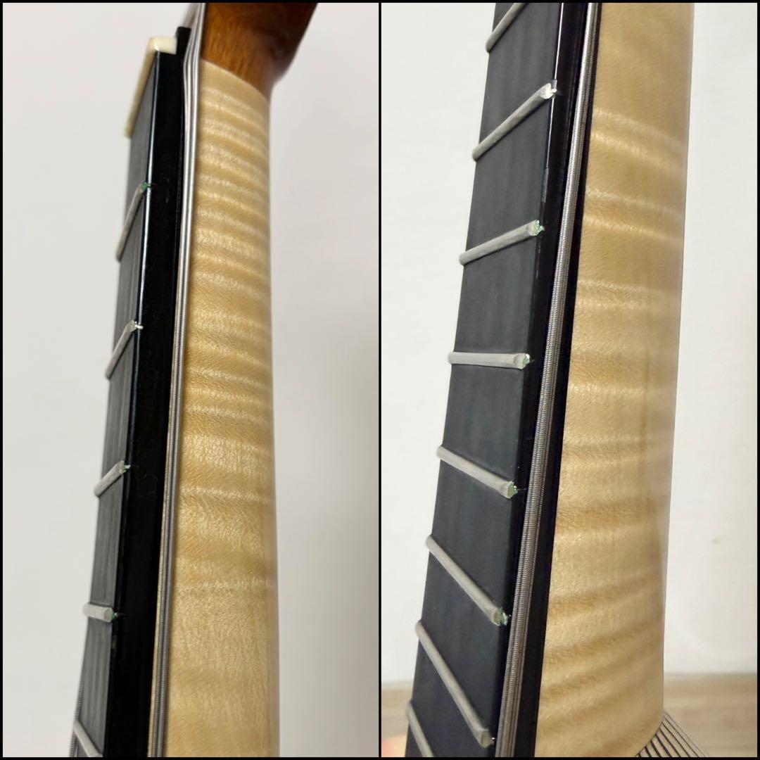 ★美品★ 落合大悟郎 高級 マンドラ DS-1 2009年 セミハードケース付