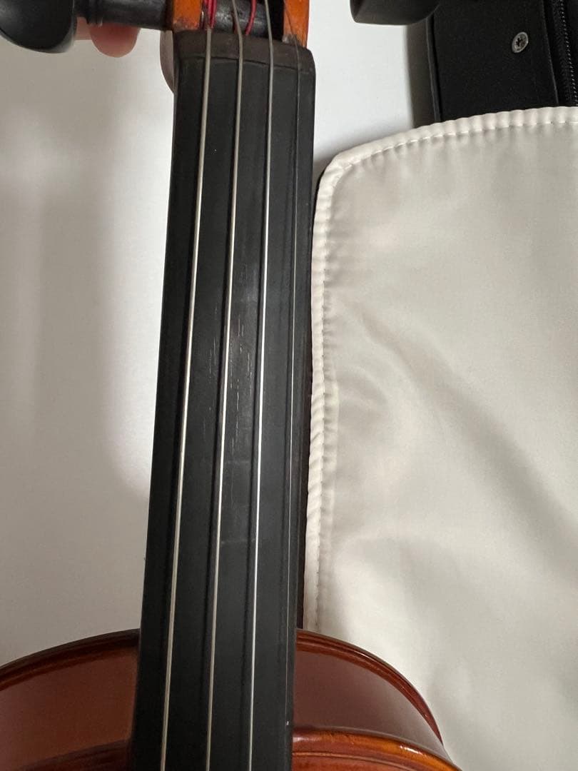 Eastman SVL80セット 4/4 バイオリン 初心者セット イーストマン