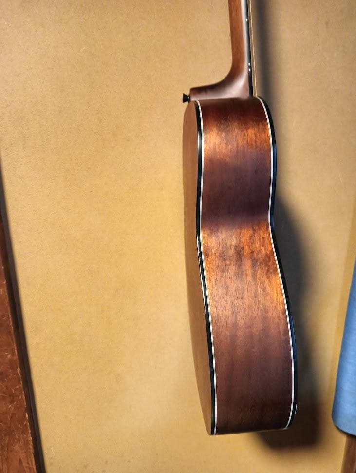 Morris アコースティックギター 　弾きやすい中型F21VS