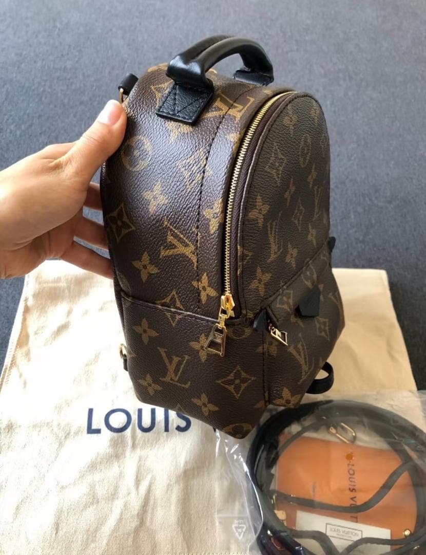 LOUIS VUITTON パームスプリングス バックパック M44873