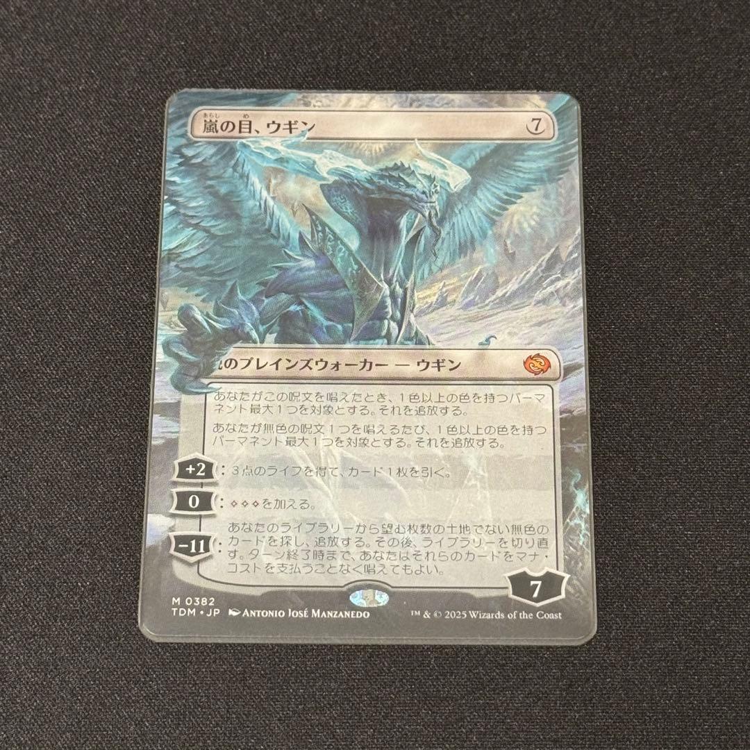 《嵐の目、ウギン》ボーダーレス 日本語 1枚