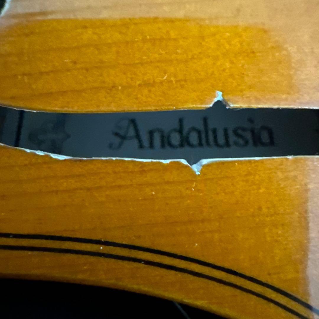 Andalusia AV-80 バイオリン 4/4サイズ 弦楽器 ケース付属