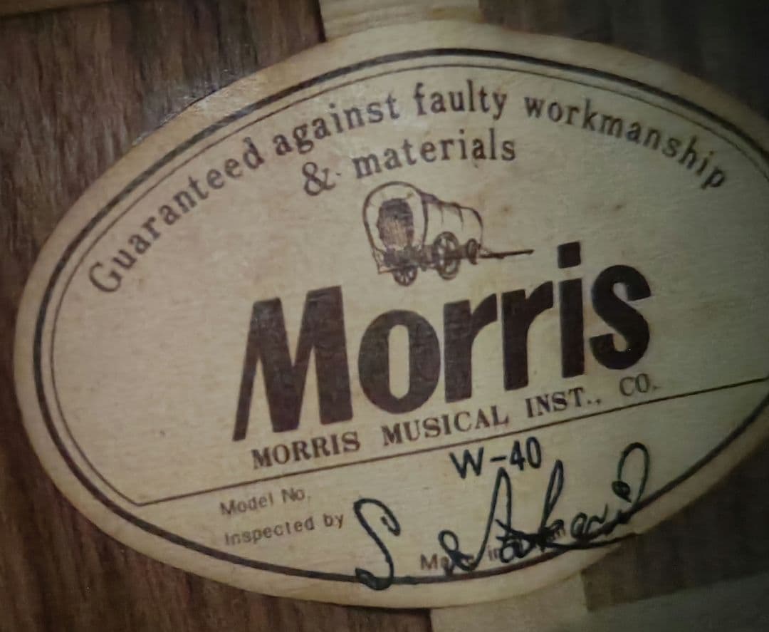 Morris W40 ビンテージ サンバースト コレクター