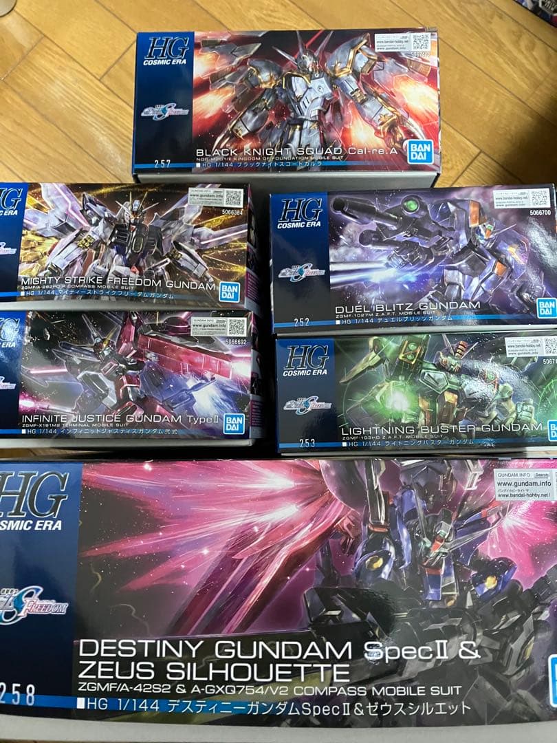 hg デスティニーガンダムspecii&ゼウスシルエット　他セット