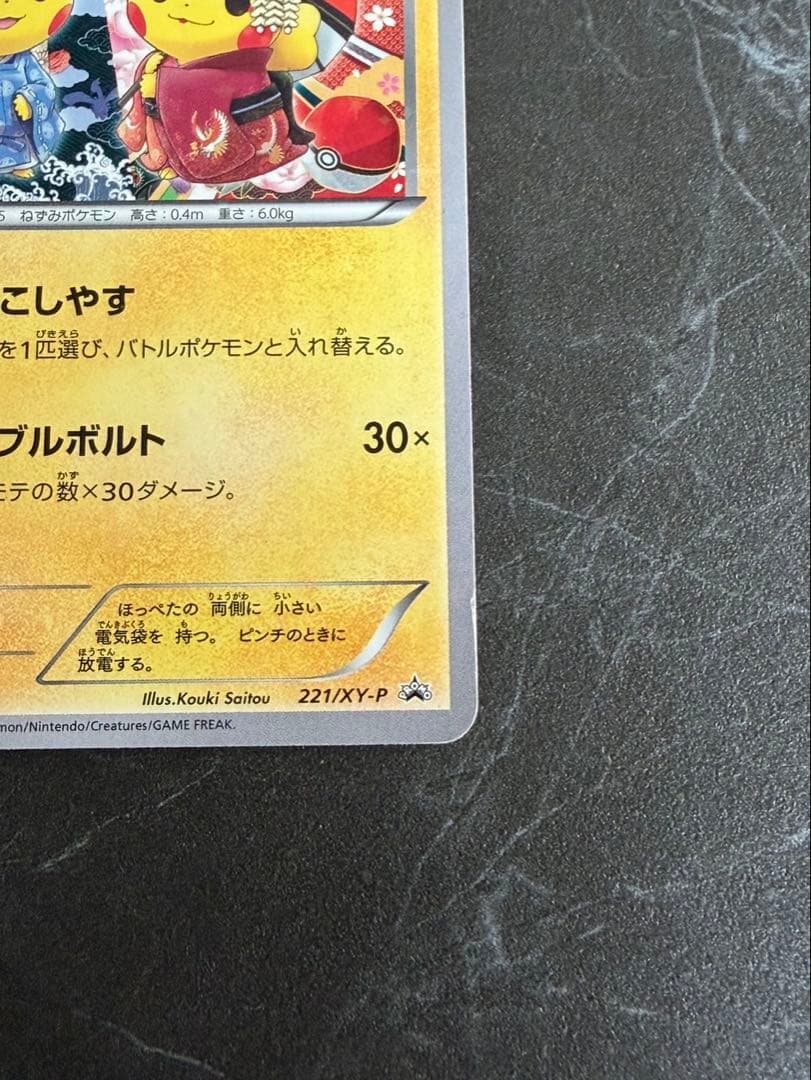 お公家さまと舞妓はんピカチュウ