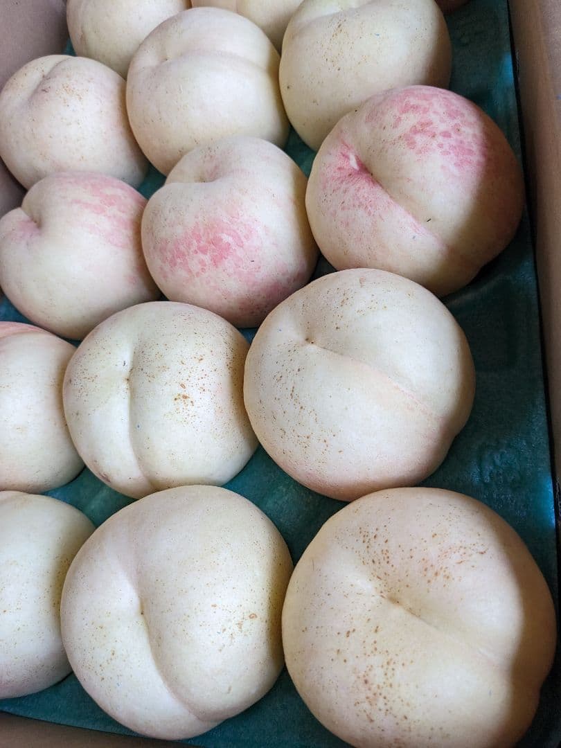 本日終了！桃☆CX(シーエック)大玉15個　5キロ箱　箱込み6.5キロ