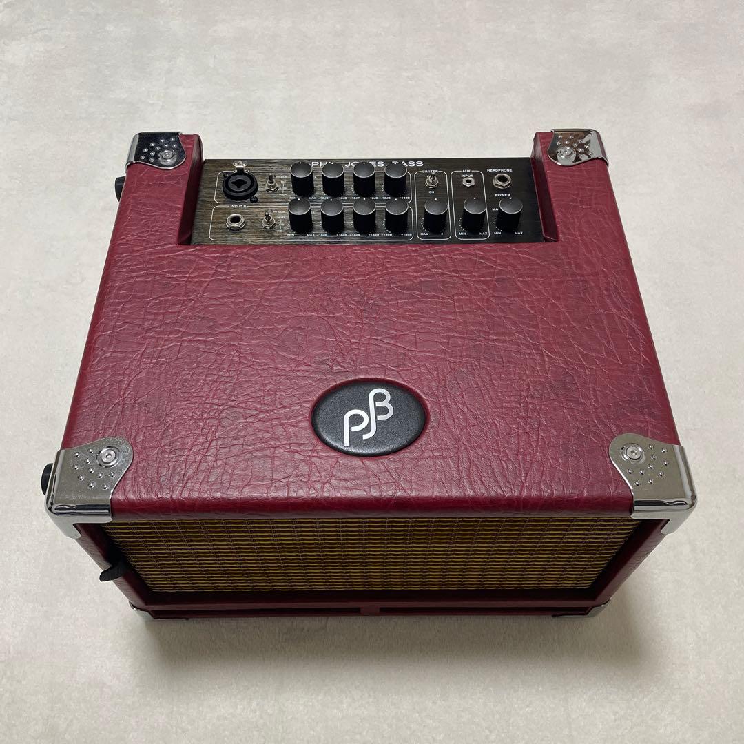 PHIL JONES BASS CUB BG-100 ベースアンプ