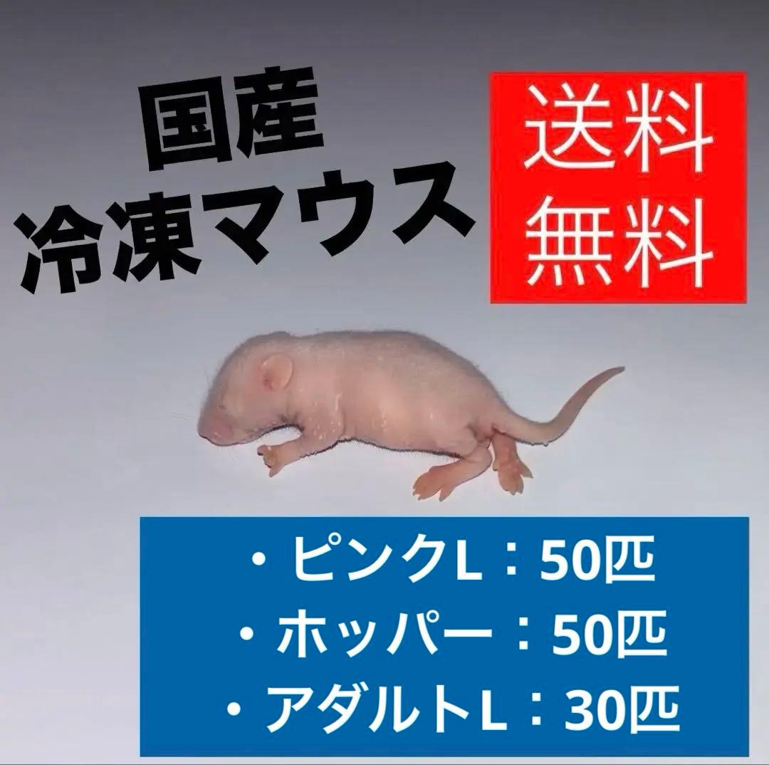 いちご大福　冷凍マウス セット