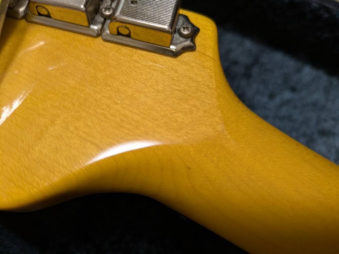 Fujigen Expert OS (EOS) ZW/R フジゲン エレキギター