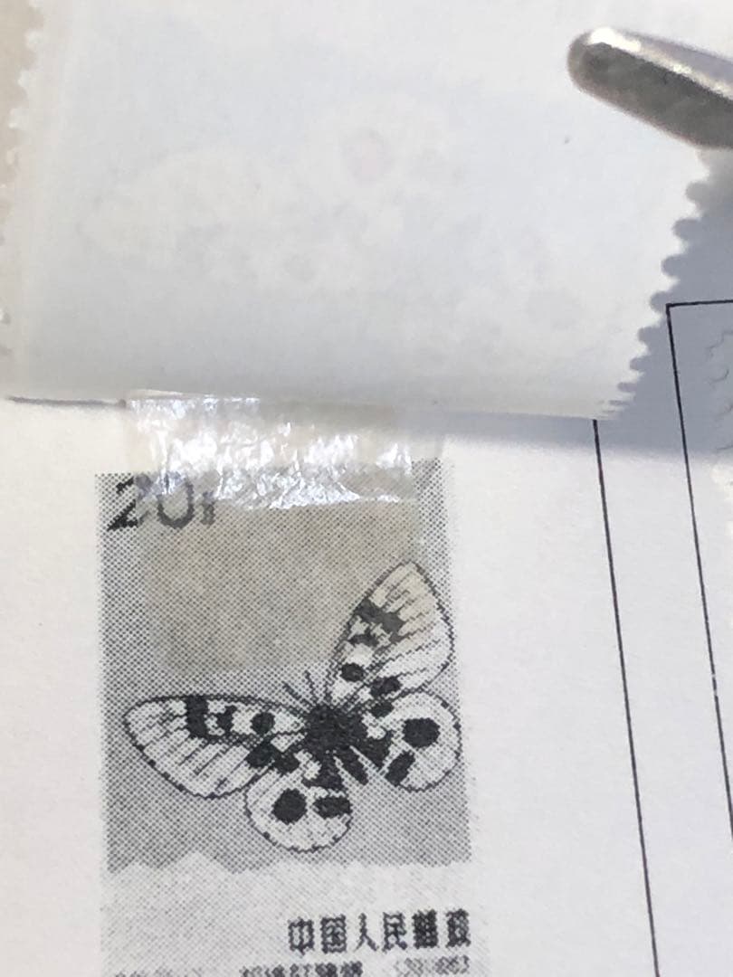 中国切手　1963年（特56）蝶シリーズ　20種完　消印有　美品