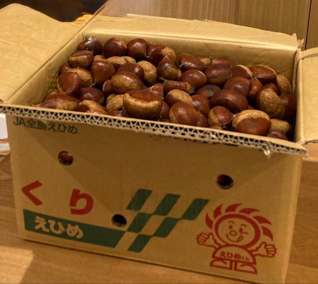 幻の栗⭐︎中山栗2L~4L混合10kgクール便（匿名不可）農家直送2025-011