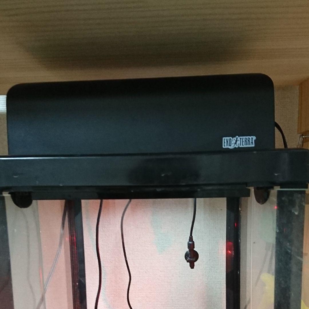 爬虫類ケージ 小型の両生類、爬虫類に！