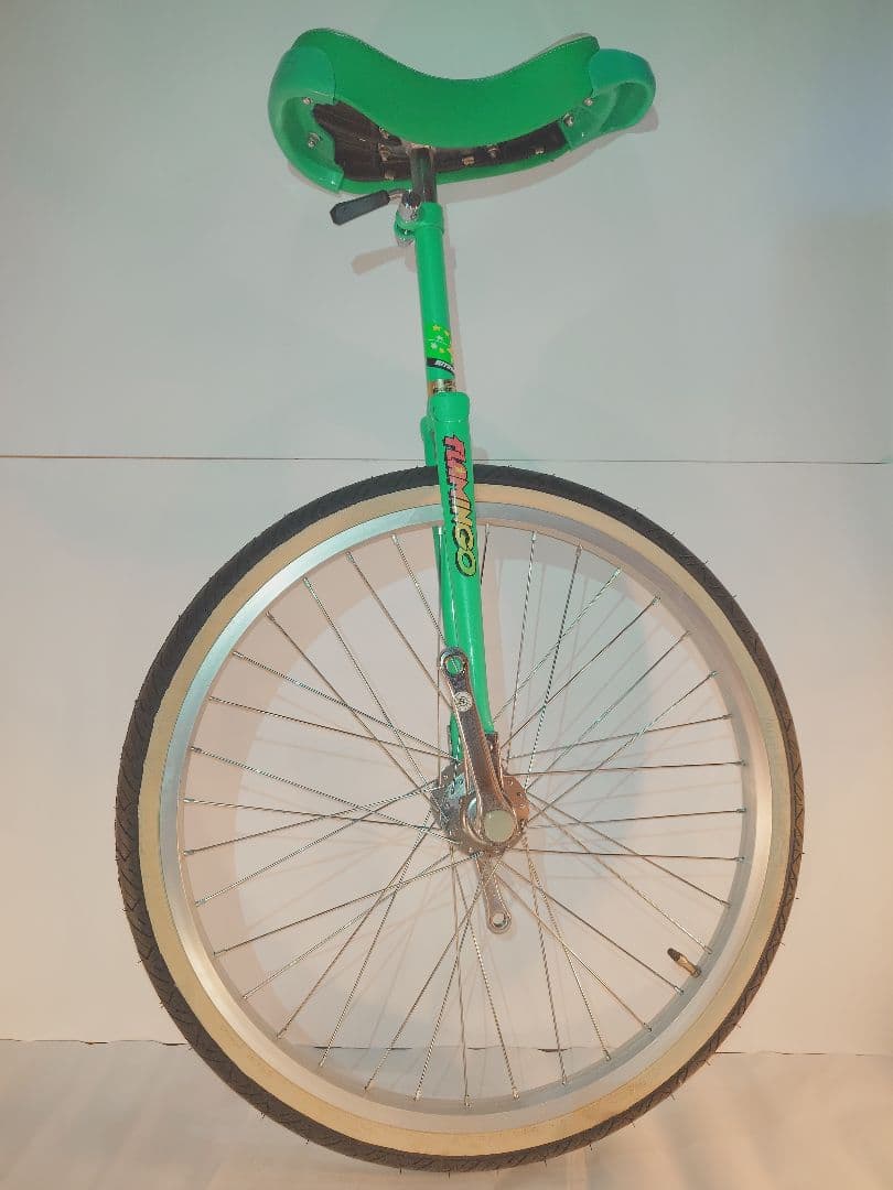 一輪車　ミヤタ　フラミンゴ　24インチ　取説・教本付