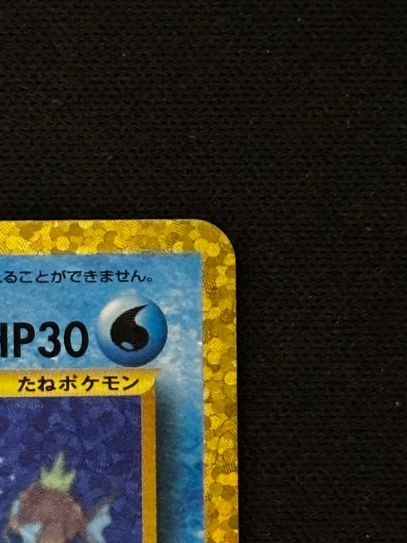 ひかるコイキング 25th