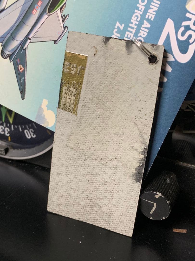 イギリス空軍 戦闘機 ユーロファイター タイフーン フラッペロン タグ 実機