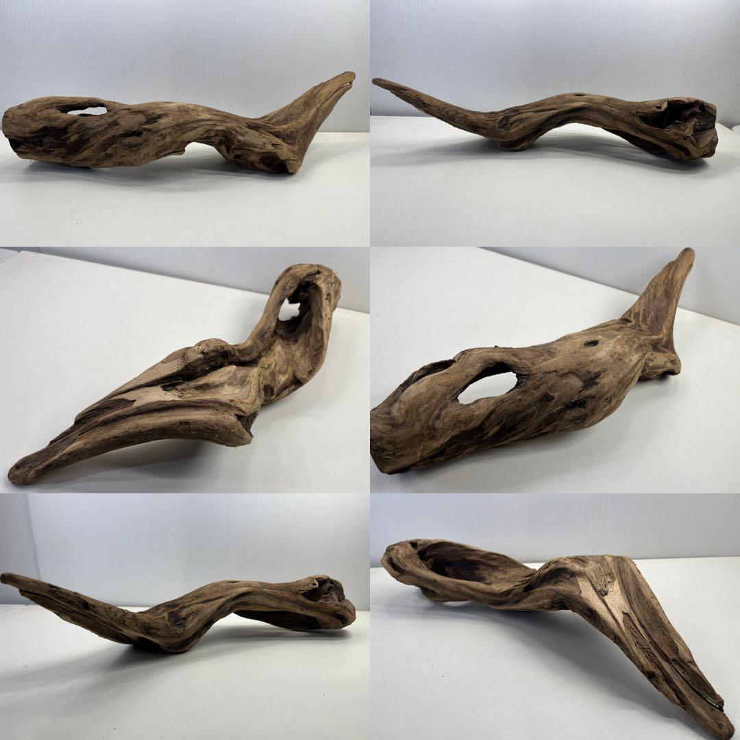 k50アク抜き済み流木 爬虫類シェルター レイアウト用 登り木 インテリア