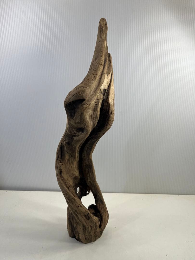 k50アク抜き済み流木 爬虫類シェルター レイアウト用 登り木 インテリア