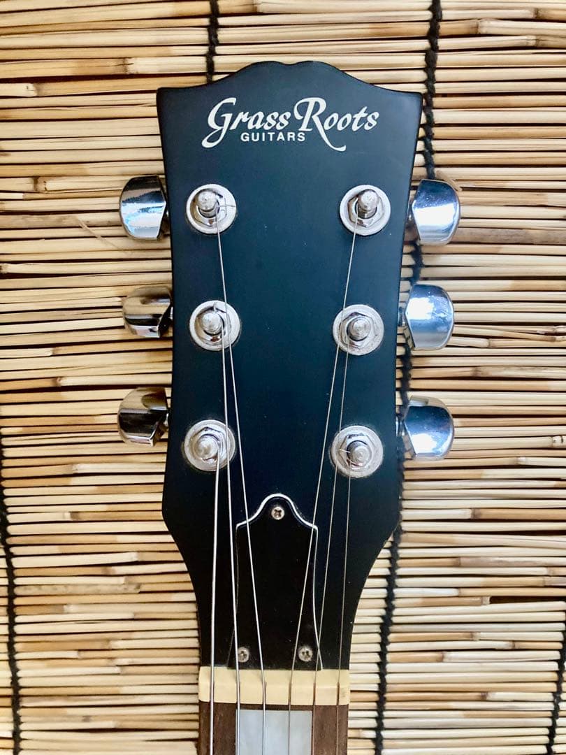 ☆値下☆美品珍品　モディファイして新機能満載　GrassRoots SSS LP