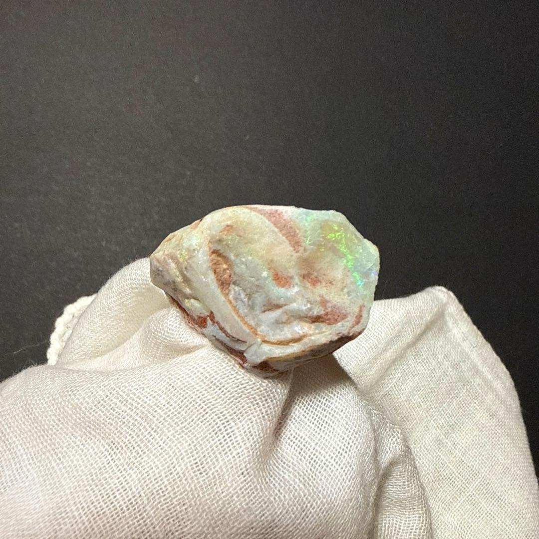 シェルオパール 貝オパール オパール化貝化石 オパライズドシェル