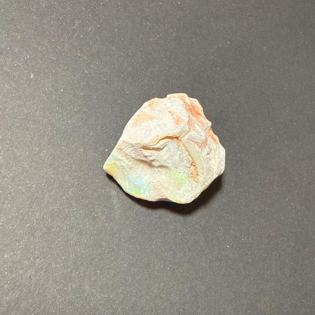 シェルオパール 貝オパール オパール化貝化石 オパライズドシェル