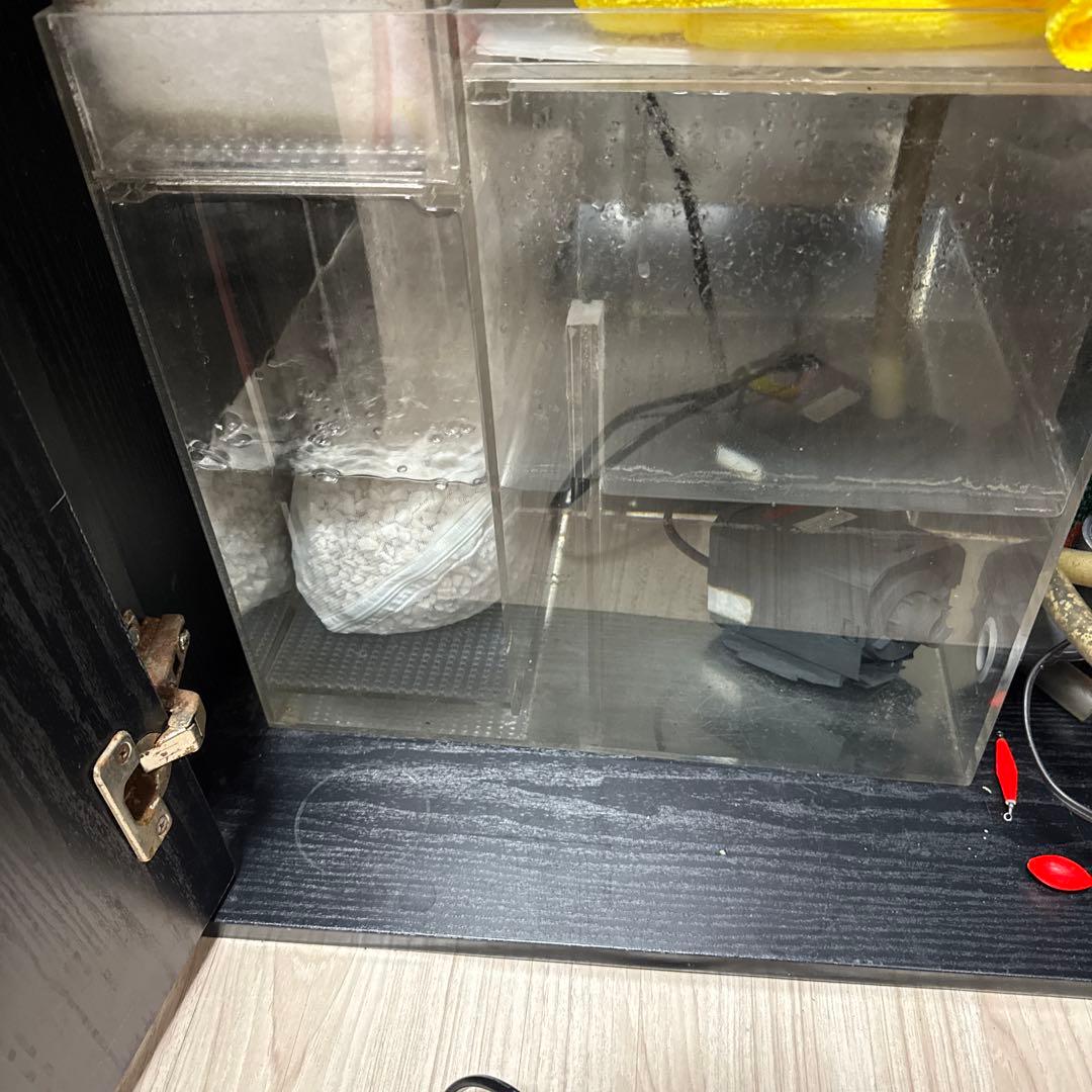 60cmワイドオーバーフロー水槽 大型 フィルター付き　クーラー