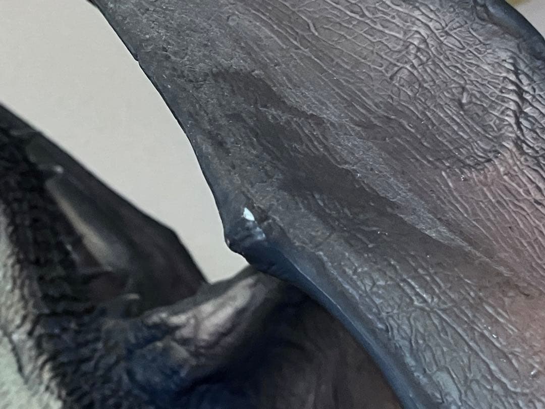 【お値下げ不可】ミラボレアス　クリエイターズモデル