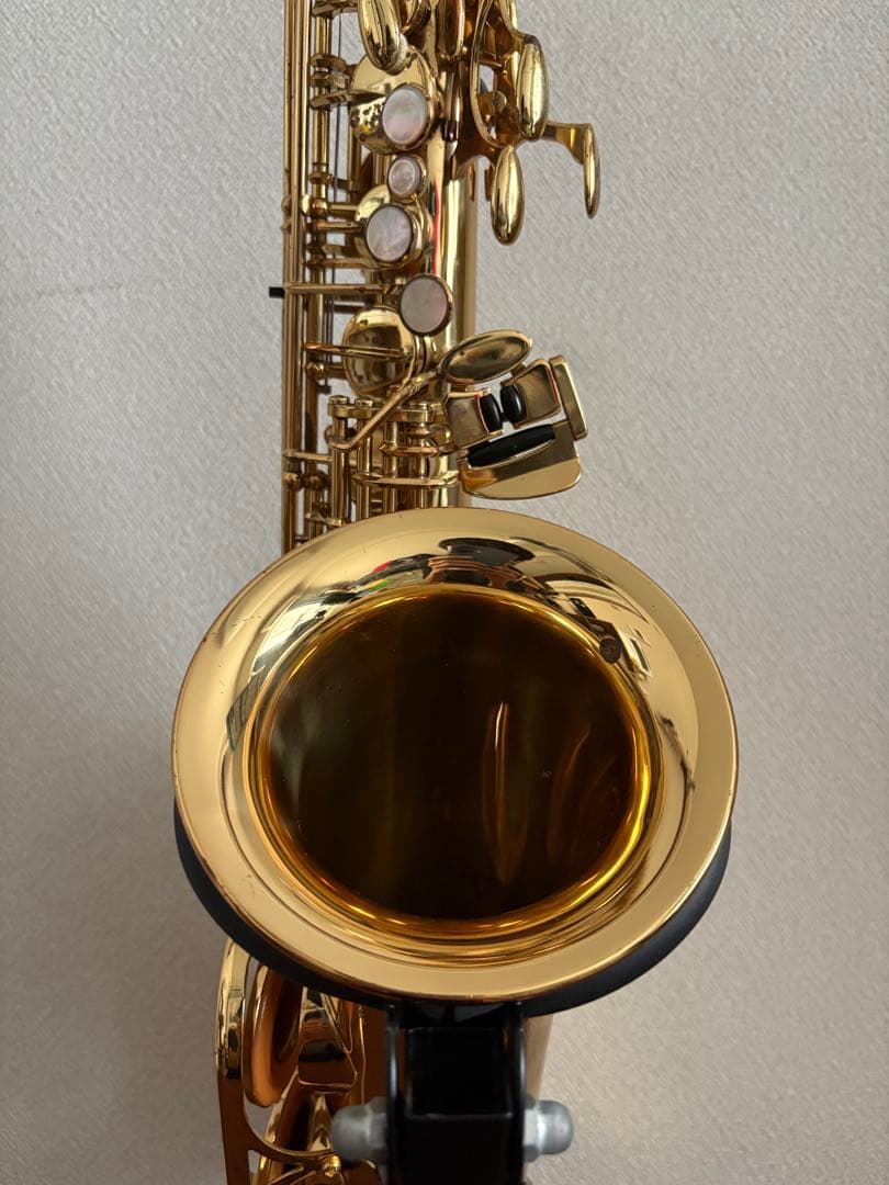 ヤナギサワ アルトサックス A-900