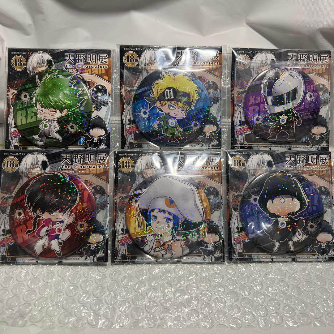 大幅値下げ天野明展 家庭教師ヒットマンREBORN! 缶バッジコンプセット36個