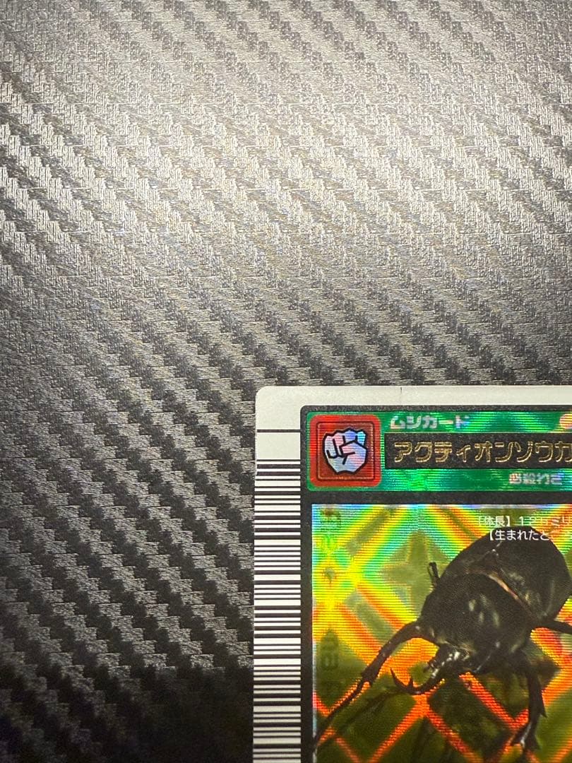 T*u様 アクティオンゾウカブト