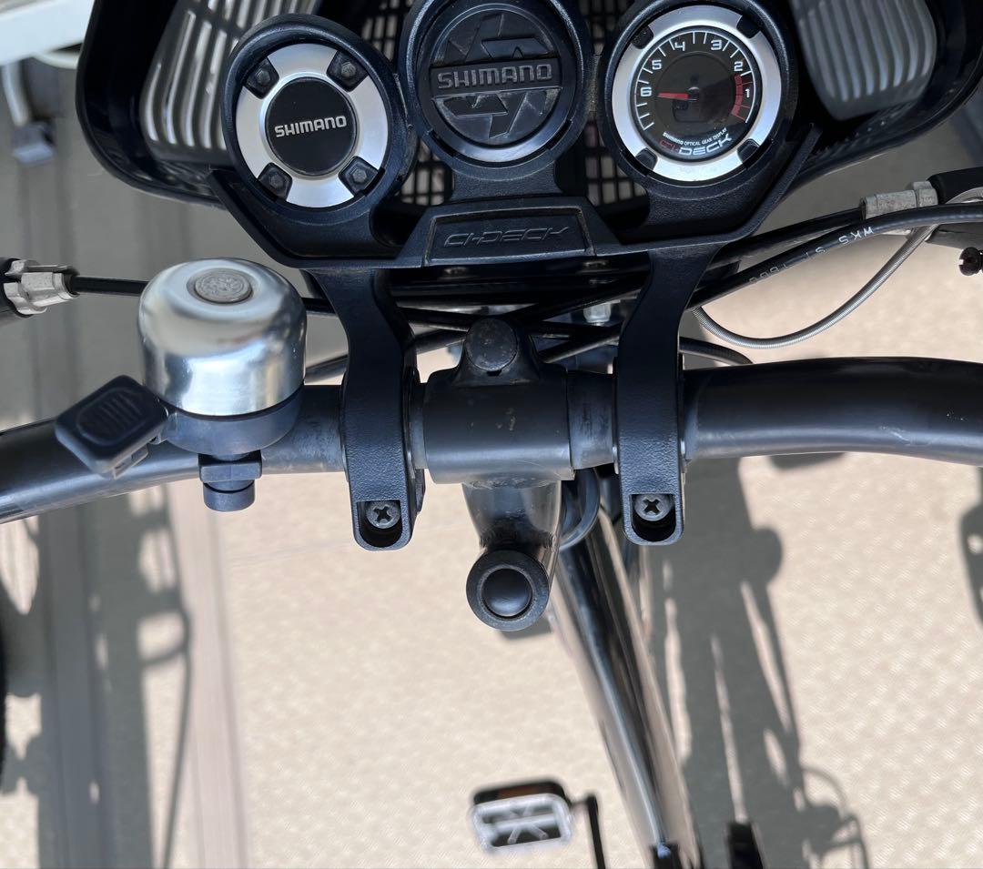 【直接お渡し限定】　ブリヂストン　エクスプレスジュニア　24インチ　点灯虫