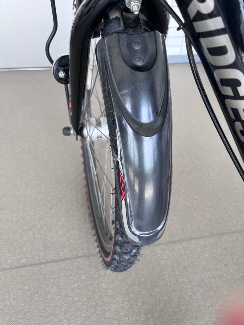 【直接お渡し限定】　ブリヂストン　エクスプレスジュニア　24インチ　点灯虫