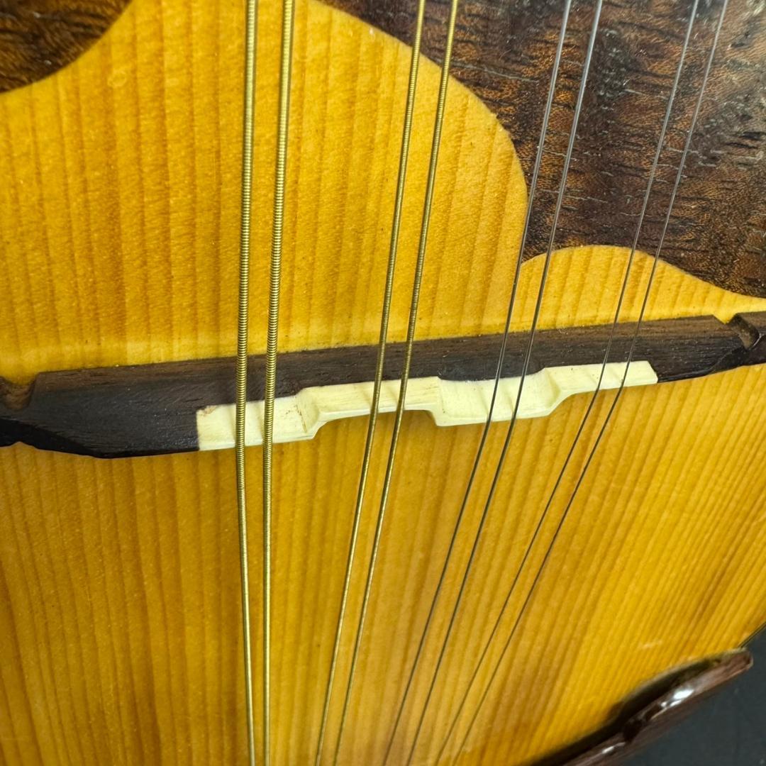 ☆鈴木バイオリン　マンドリン　M-30　ソフトケース付　SUZUKI　スズキ