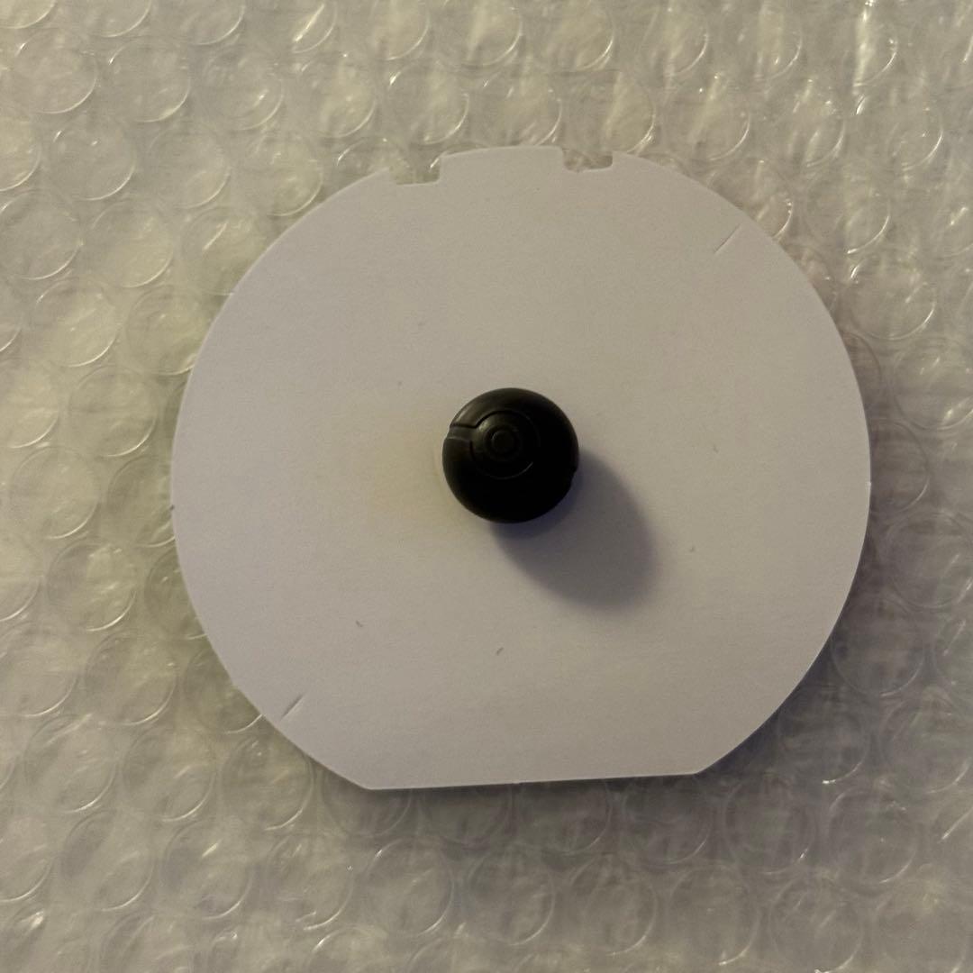 ポケパーク カントー 限定 ピンバッジ ピンズ ミュウツー