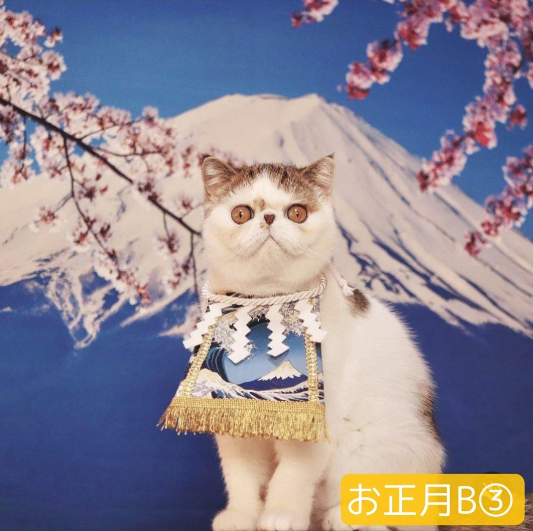 背景布　【　ハロウィン I　】　サンプル　お月見さん、十五夜、9月